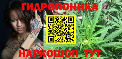 ГАЛЛЮЦИНОГЕННЫЕ ГРИБЫ Кулебаки